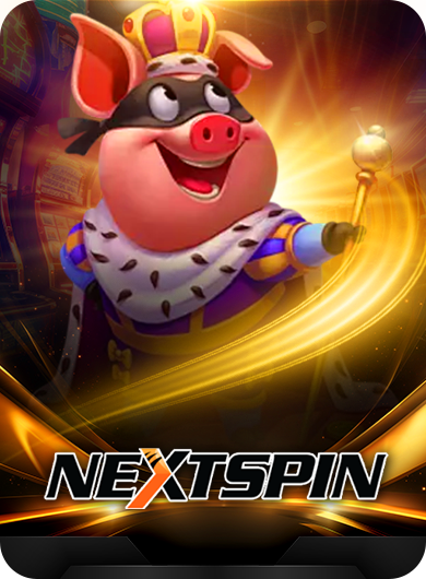 NEXT SPIN Slot (NS)